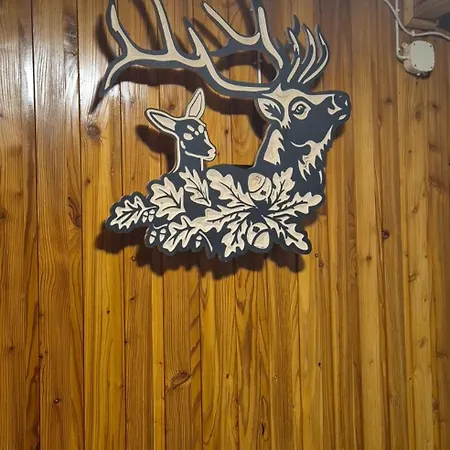 Casa de hóspedes Limba